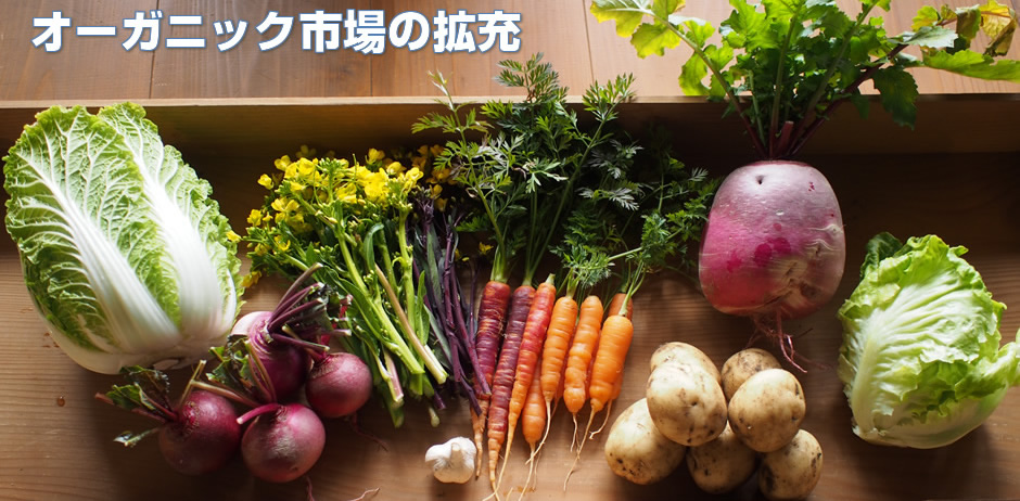 FOOD communication project