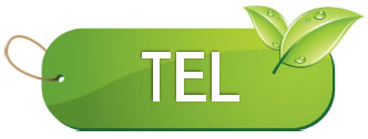 TEL